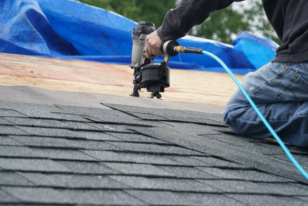 Best Roof Gutter Cleaning  in Huntington, WV
