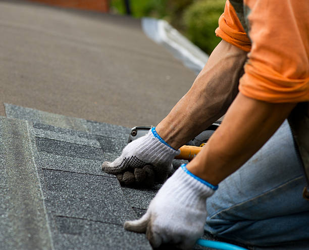 Best Roof Gutter Cleaning  in Huntington, WV
